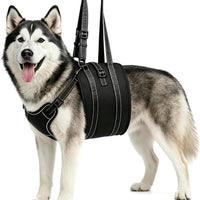 Pet Dog Walking Aid Harness for Injured or Elderly Dogs, Rehabilitation Support Sling