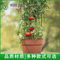 Tomato Cage Plant Support Stakes for Garden and Patio, Coated Steel Pipe Trellis for Climbing Plants