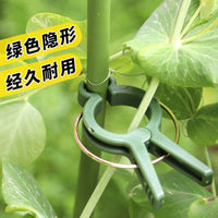 Plant Support Clips for Climbing Vines, Tomatoes, and Garden Plants