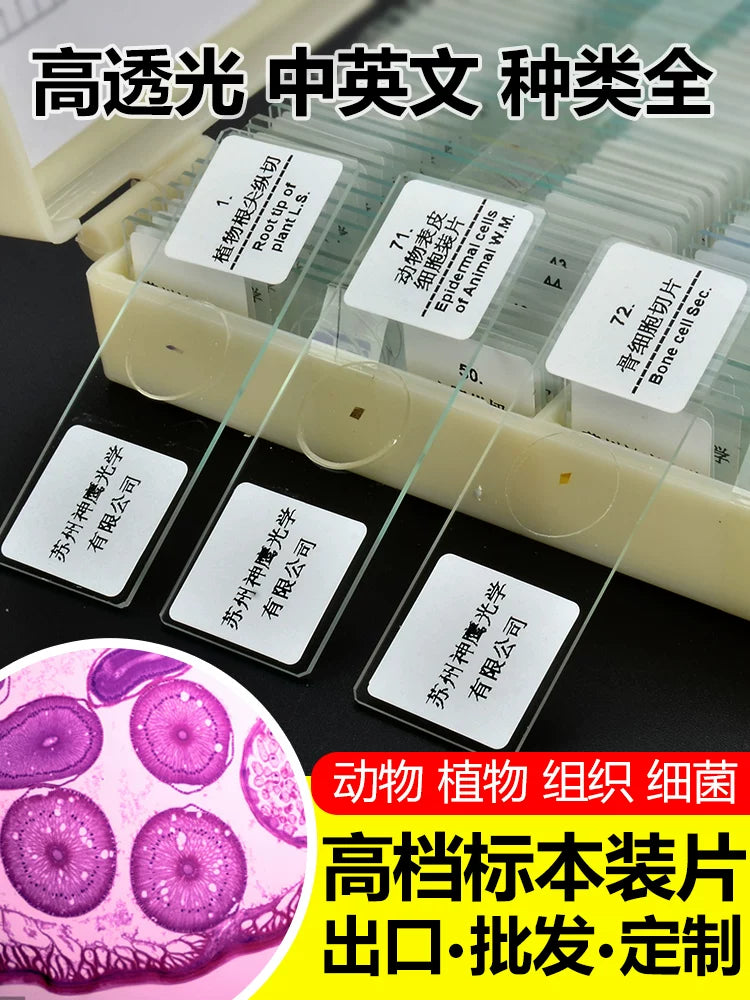 Biological Microscope Prepared Slides Set, Animal & Plant Specimen Glass Slides for Kids Science Education