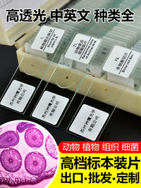 Biological Microscope Prepared Slides Set, Animal & Plant Specimen Glass Slides for Kids Science Education