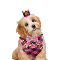 Pet Birthday Party Banner, Bandana & Glitter Hat Set for Dogs and Cats