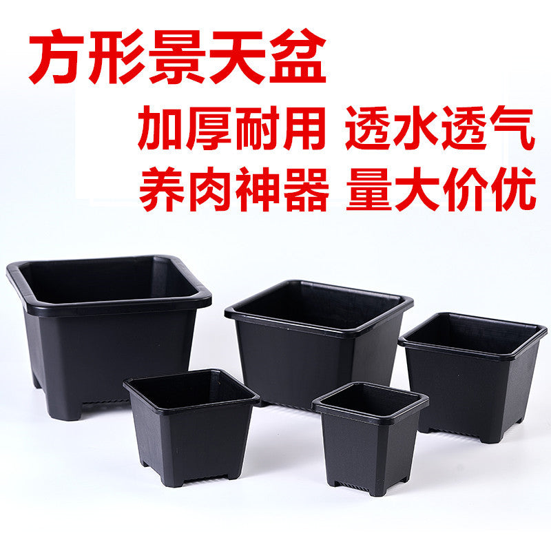 Thickened Breathable Square Succulent Planter Pot for Seedlings and Plants, Root Control, Anti-Rot