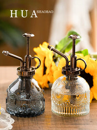 Vintage Nordic Glass Pressure Spray Bottle for Gardening and Disinfection, Small Watering Can for Succulents