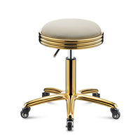 Adjustable Swivel Salon Stool with Wheels for Barbershop, Beauty Salon, and Mobile Phone Stores