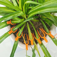 50-Pack Plant Stem Fixer Clips for Gardening, Strawberry and Watermelon Vine Securing