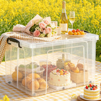 Outdoor Camping Storage Box with Lid - Dustproof, Moisture-proof, Insect-proof, Portable Organizer for Picnic, Car, Home