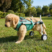 Pet Dog Wheelchair for Hind Leg Rehabilitation - Lightweight, Silent, Reflective Mobility Aid