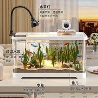 Desktop PET Fish Tank with Filter and Oxygenation, High Transparency Aquarium for Small Fish