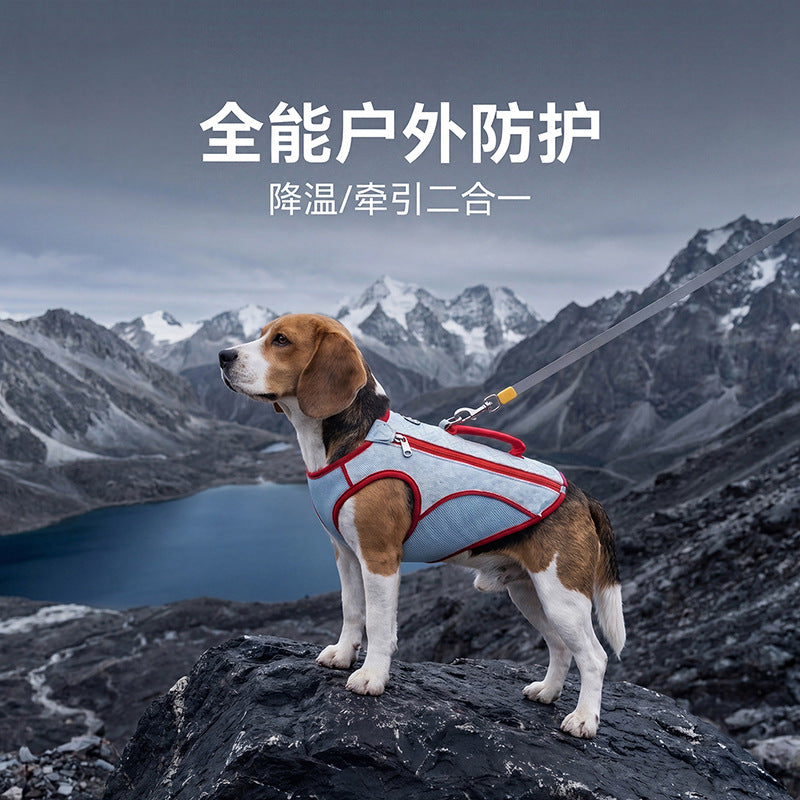 Dog Cooling Vest Color Block Outdoor Pet Apparel for Small to Medium Dogs