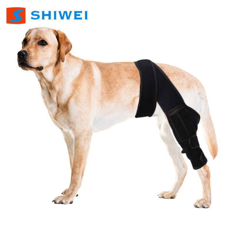 Pet Dog Knee Brace Joint Support Protector for Injury Recovery and Lick Prevention