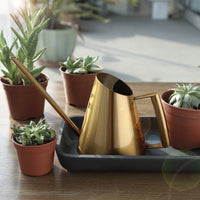 Vintage Stainless Steel Long Spout Watering Can for Indoor Outdoor Plants