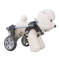 Adjustable Pet Wheelchair for Hind Leg Support - Lightweight Mobility Aid for Dogs and Cats