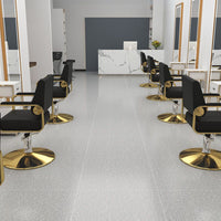 Luxury Reclining Hydraulic Barber Chair for Salon