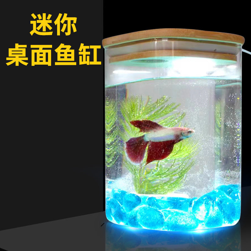 Glass Betta Fish Tank with LED Light for Desktop Micro-Landscape
