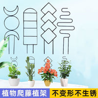 Iron Art Plant Support Stakes for Climbing Vines and Potted Plants