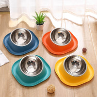 Tilted Stainless Steel Pet Bowl for Healthy Eating and Drinking, Easy to Clean