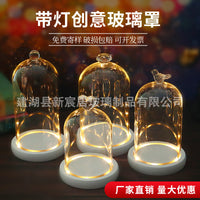 LED Lighted Glass Display Dome with Dustproof Cover for Micro Landscape and Figurines
