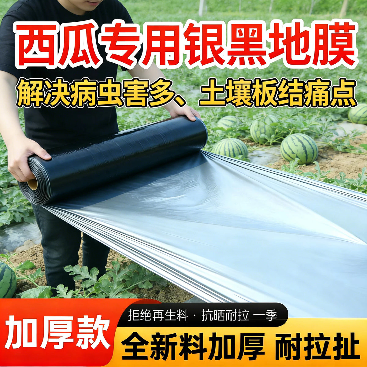 Silver-Black Agricultural Mulch Film for Watermelon Cultivation - Thickened, Insulating, Reflective, Weed Control