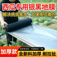 Silver-Black Agricultural Mulch Film for Watermelon Cultivation - Thickened, Insulating, Reflective, Weed Control