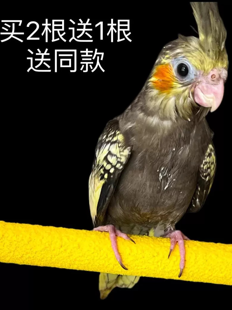 Bird Perch Sanded Stand Grinding Claw Chewing Toy for Parrots Budgies Cockatiels Cage Accessories