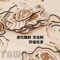 Montessori Wooden Animal Evolution Layered Puzzle for Early Education