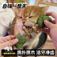 Catnip and Silvervine Chew Toys for Cats - Fishbone and Ball Designs