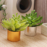 Miniature Dollhouse Plant Shelf with Succulents for BJD Dolls