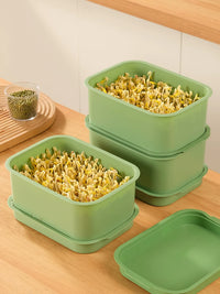 3-Pack Seed Sprouting Trays for Hydroponic Growing, Food-Grade Bean Sprout Germination Kit