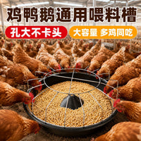 Anti-Spill Poultry Feeder Round Trough with Divided Compartments for Chickens, Ducks, Geese