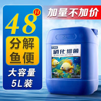 Nitrifying Bacteria Liquid for Aquaculture Pond Water Purification and Ammonia Nitrogen Reduction