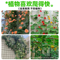 Plant Trellis Netting for Climbing Vegetables and Flowers, Heavy-Duty Support for Vines, Beans, Cucumbers, and More