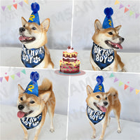 Pet Birthday Party Decoration Set with Hat, Bandana, and Numbers for Cats and Dogs