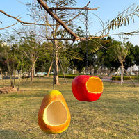 Resin Fruit Bird Feeder for Outdoor Garden Tree Hanging Decoration