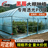 Blackberry Greenhouse PO Film for Enhanced Photosynthesis and Berry Yield