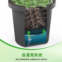 Tomato and Vegetable Plant Support Cage with Pot for Climbing Plants