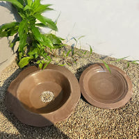 Terracotta Turtle Water Basin with Optional Plastic Base for Reptile Pets