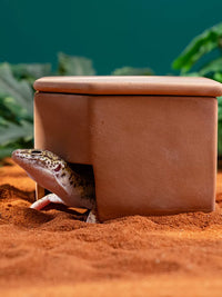 Reptile Ceramic Humidifying Hideaway Cave for Leopard Gecko Snake Spider