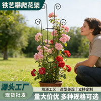 Heart-Shaped Iron Plant Climbing Trellis for Potted Plants
