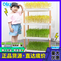 Hydroponic Seedling Tray with Stand for Soilless Cultivation