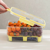 Portable Insulated Lunch Box with Ice Pack, Large Capacity Outdoor Camping Picnic Food Container, Sealed Fruit Box