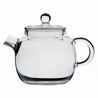Mini Borosilicate Glass Teapot with Infuser, Japanese Style Small Personal Teapot