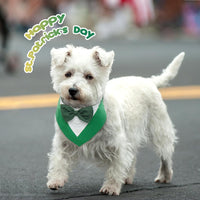 St. Patrick's Day Pet Bandana Scarf with Hook and Loop Closure