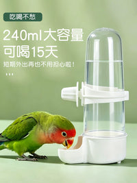 Automatic Bird Water Feeder for Cages, 240ml Large Capacity No-Spill Parrot Drinker