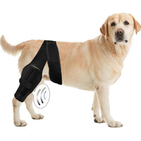 Pet Dog Leg Brace for Injury Recovery and Joint Protection