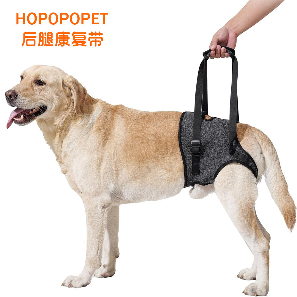 Dog Rear Leg Support Harness for Injured, Elderly, or Disabled Dogs - Pressure-Reducing Mobility Aid