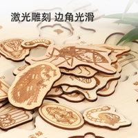 Montessori Wooden Life Cycle Puzzle Educational Toy for Kids