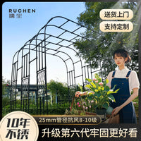 Garden Arch Trellis for Climbing Plants, Outdoor Metal Arbor for Roses Vines