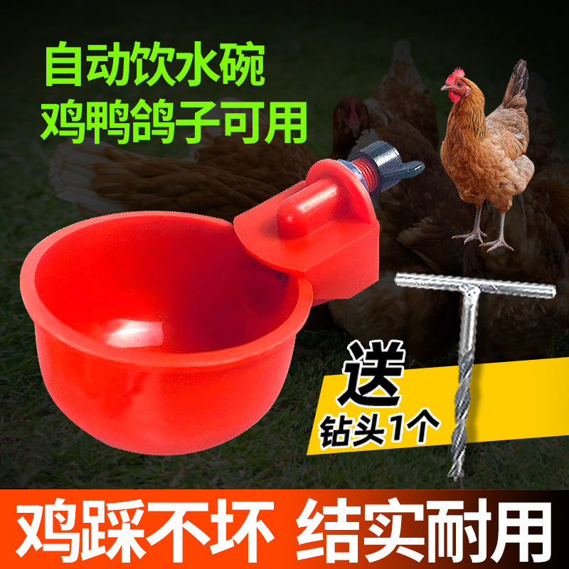 Automatic Poultry Waterer Drinking Cups for Chickens Ducks Geese Quail Birds