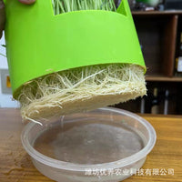 Round Hydroponic Seedling Tray for Home Gardening, Soilless Cultivation Germination Planter